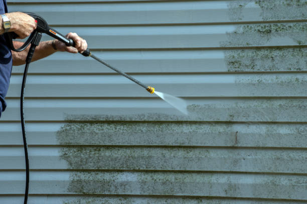 Best Soft Washing for Delicate Surfaces in Long Beach, IN